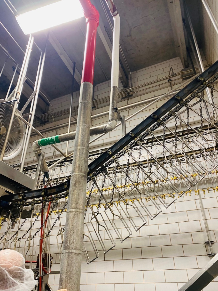 Insulated Industrial Pipes